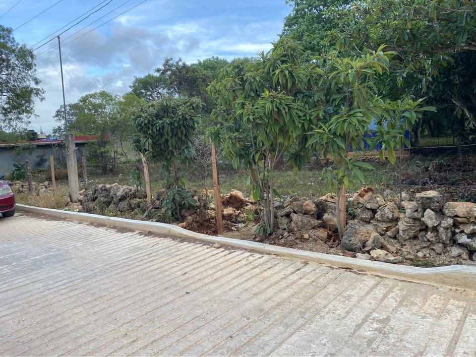 Monoambiente 0 baños - Casa 3