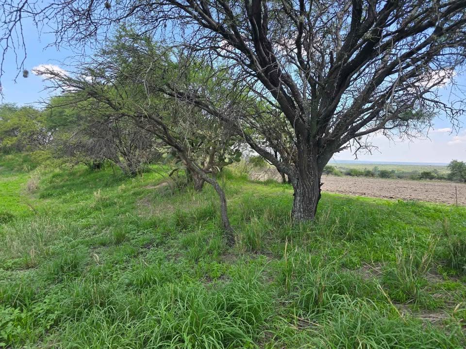 Monoambiente 0 baños - Casa 3