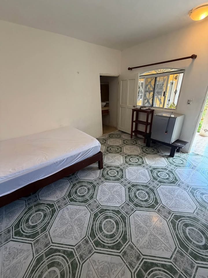 1 habitación 1 baño - Departamento 2
