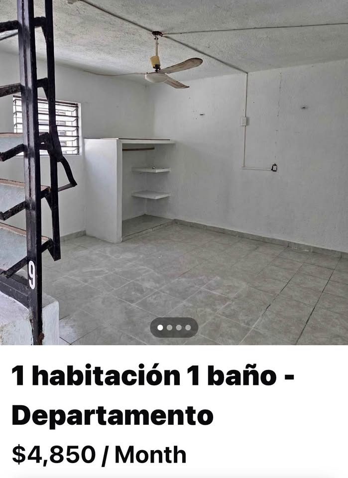 1 Bed 1 Bath - Apartment 2