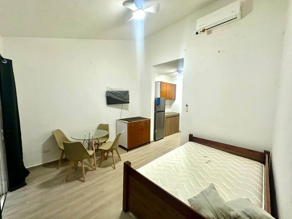 1 habitación 1 baño - Departamento 2