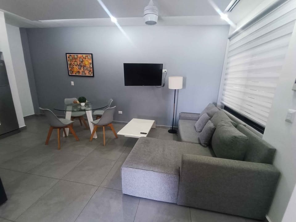 1 habitación 1 baño - Departamento 2