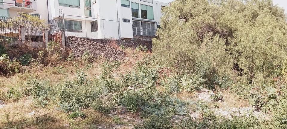 Terreno plano 3