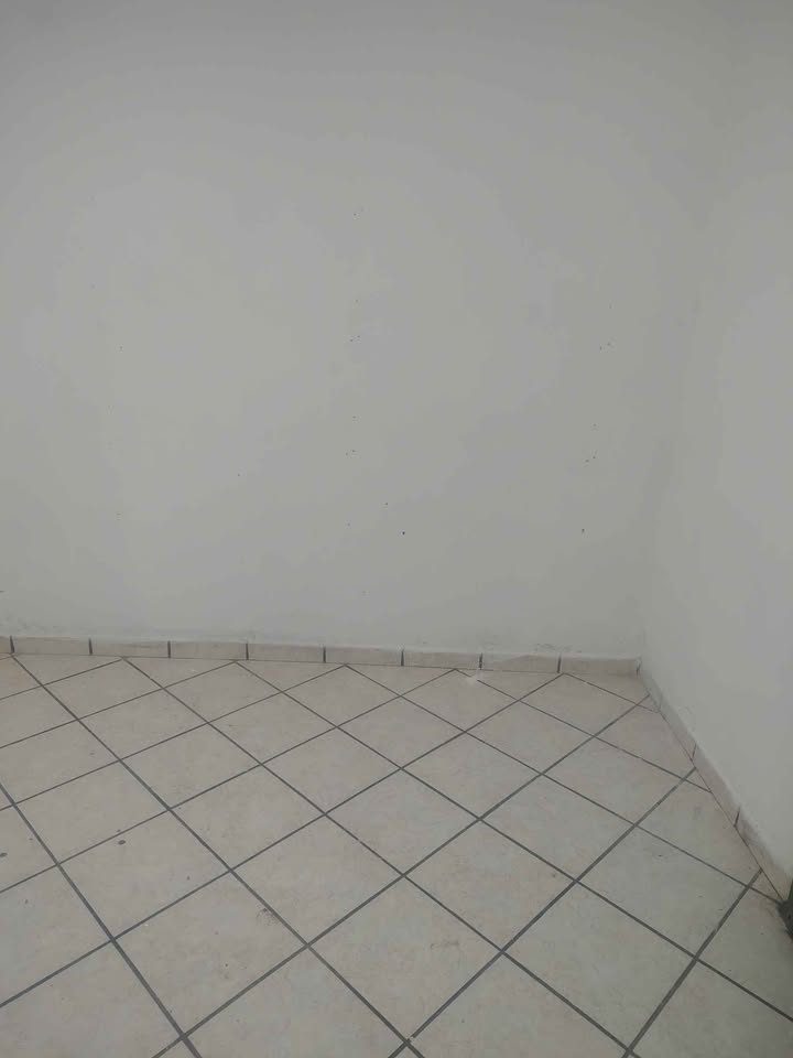 Monoambiente 1 baño -  3