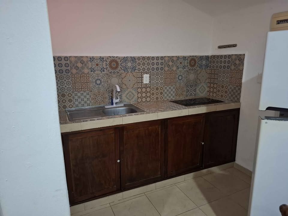 1 habitación 1 baño - Departamento 2