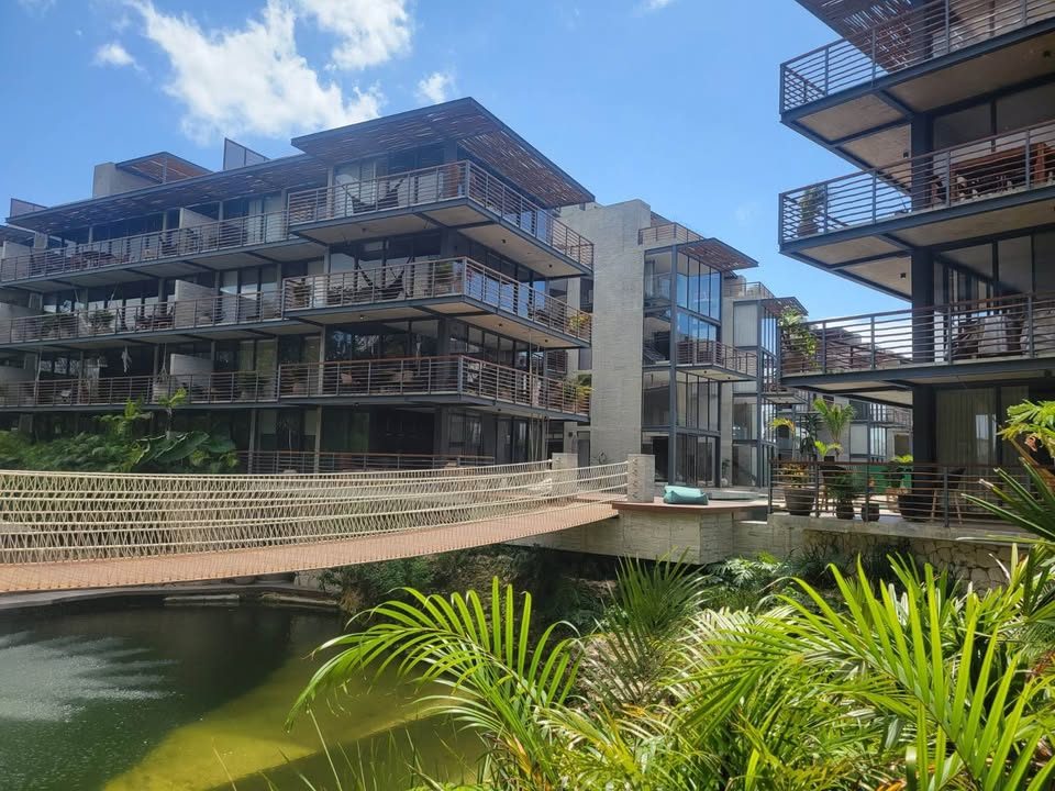 1 Bed 1 Bath - Apartment 2