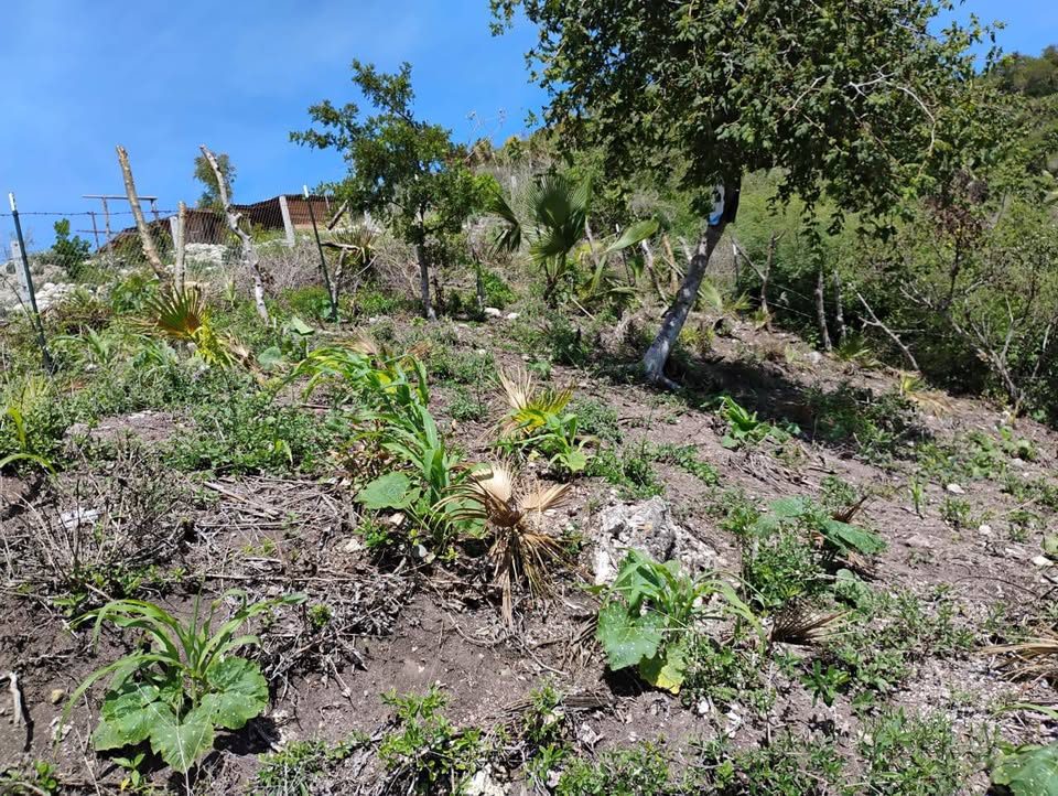 ‼️TERRENO EN VENTA‼️ 3