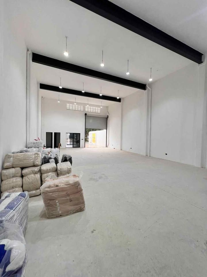 Bodega en Renta Prolongación la Luna 3