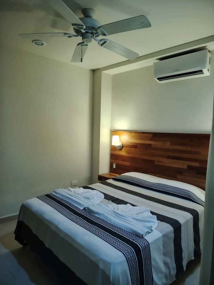 1 habitación 1 baño - Departamento 2