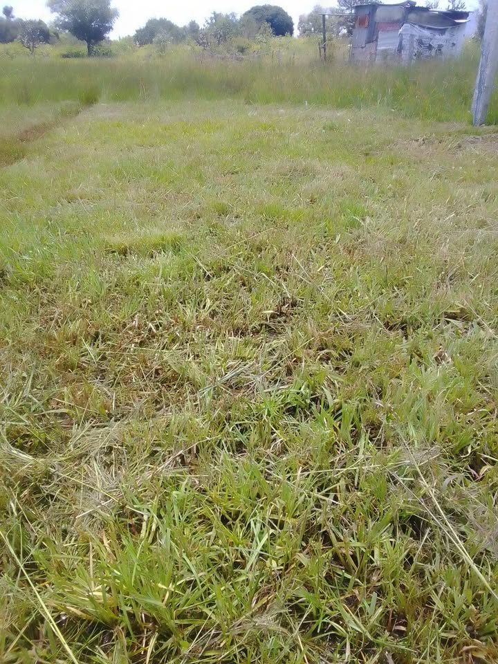 TERRENO+ 2