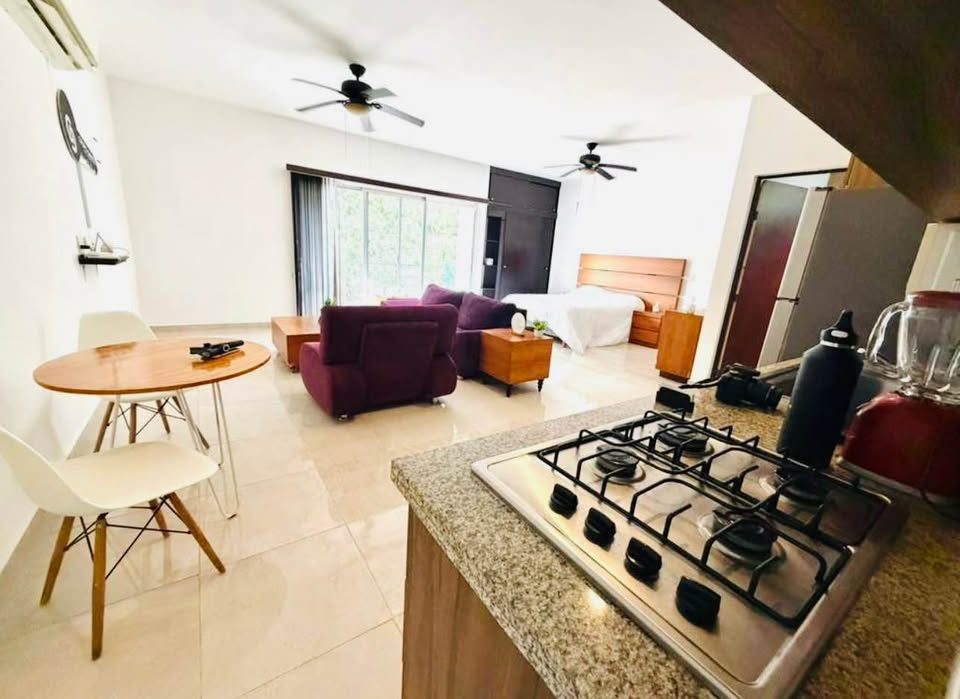 1 habitación 1 baño - Departamento 2