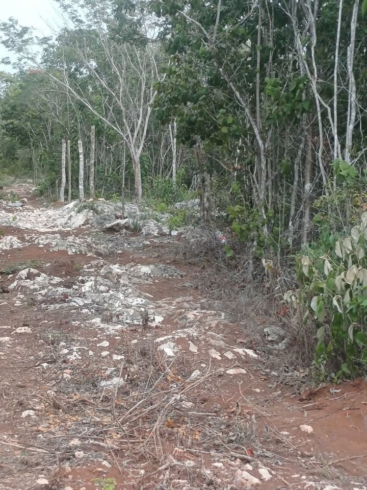 Monoambiente 0 baños - Departamento 2