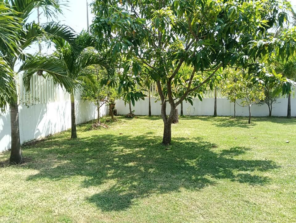 Monoambiente 0 baños - Casa 2