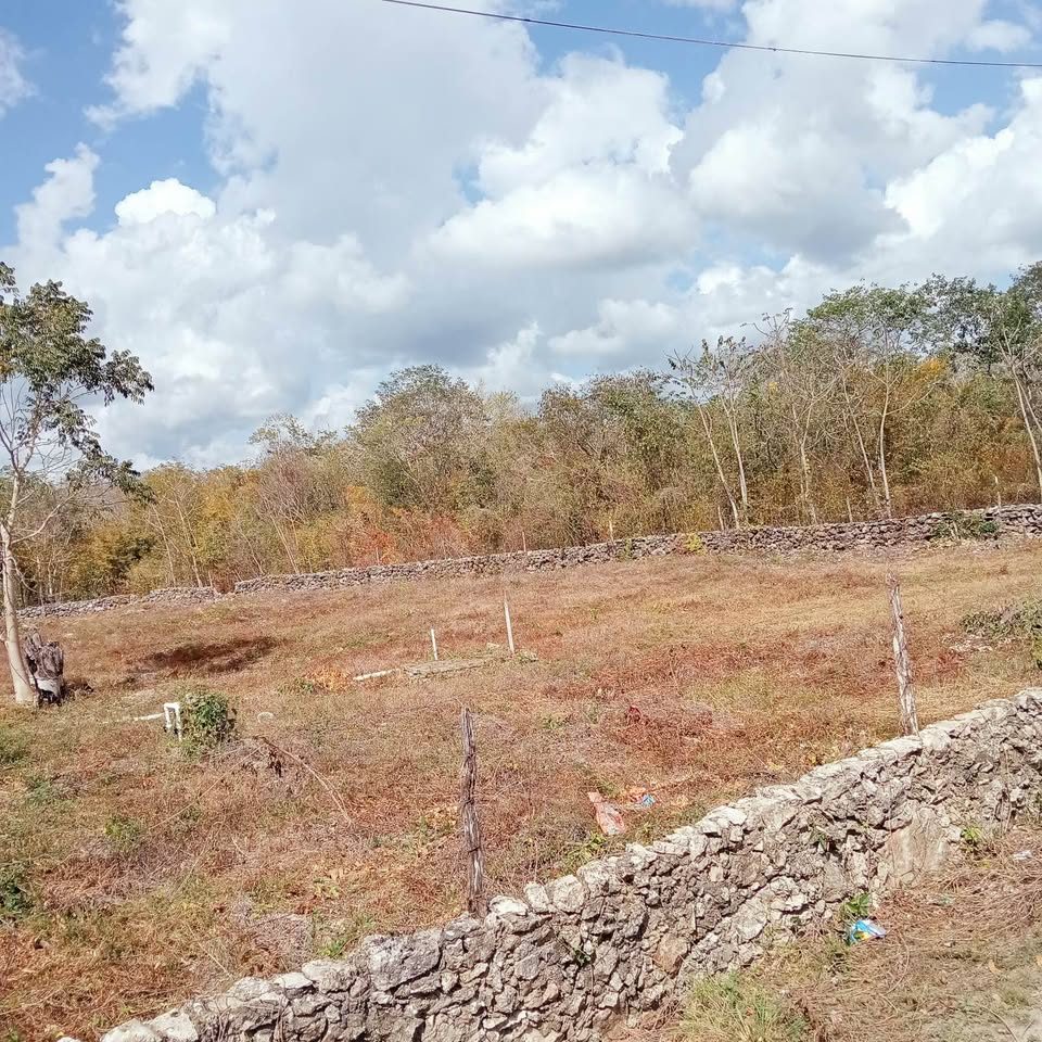 Monoambiente 1 baño - Casa 2