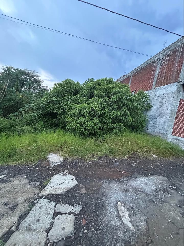 Terreno en venta · Uruapan 2