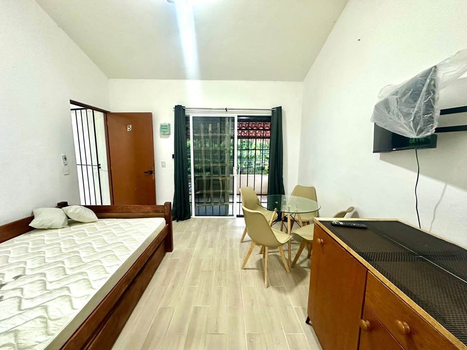 1 habitación 1 baño - Departamento 3