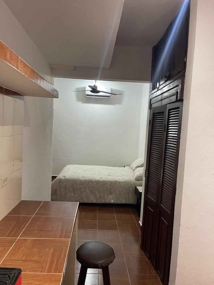 1 habitación 1 baño - Departamento 3
