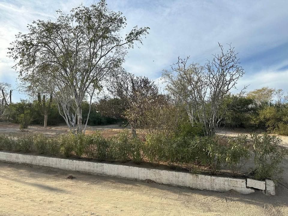 Monoambiente 0 baños - Casa 2