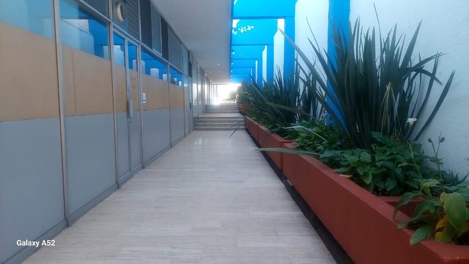 Local comercial en renta · 123 m² · Cholula de Rivadavia 3