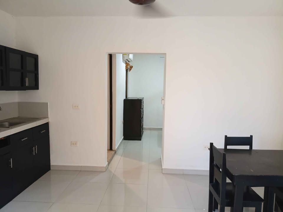 1 habitación 1 baño - Departamento 2