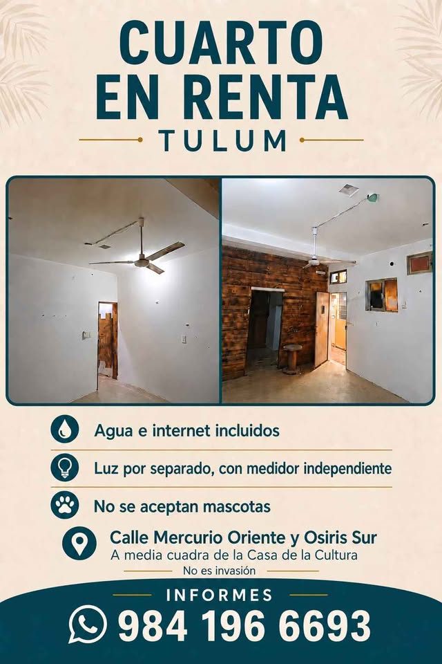1 habitación 1 baño - Departamento 3