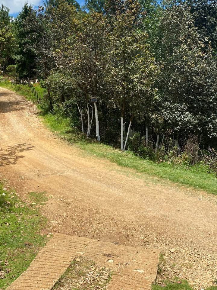 Monoambiente 0 baños - Casa 2