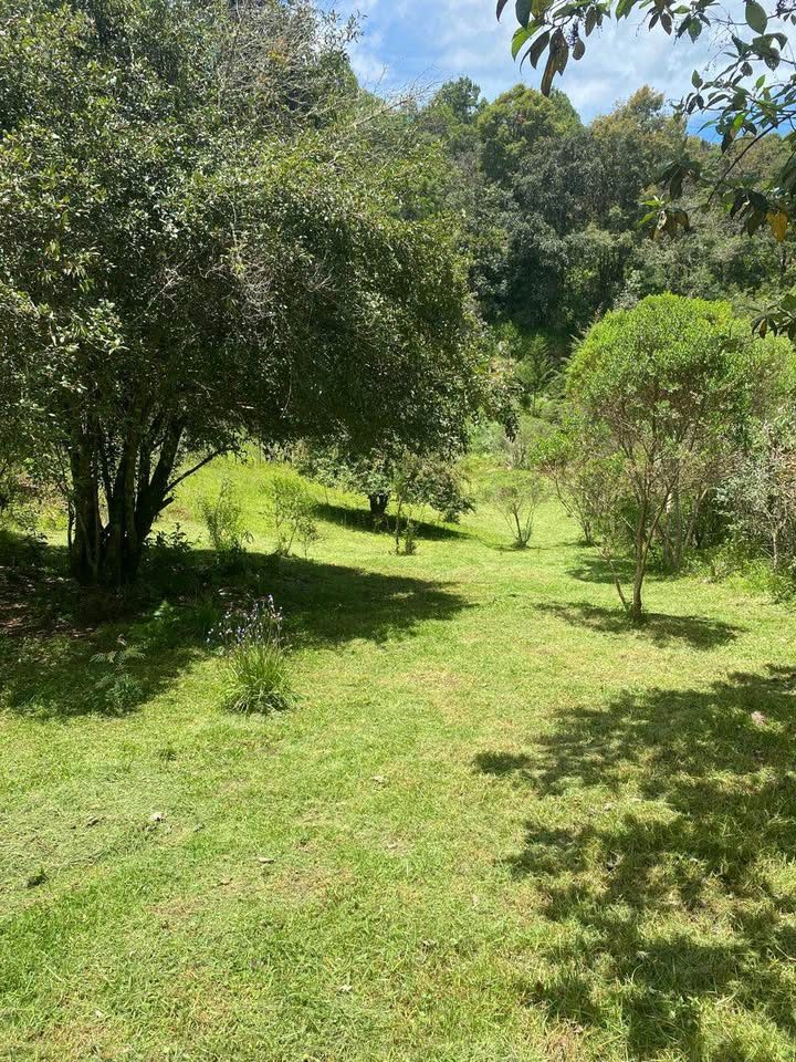 Monoambiente 0 baños - Casa 3