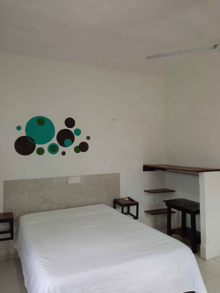 1 habitación 1 baño - Departamento 2