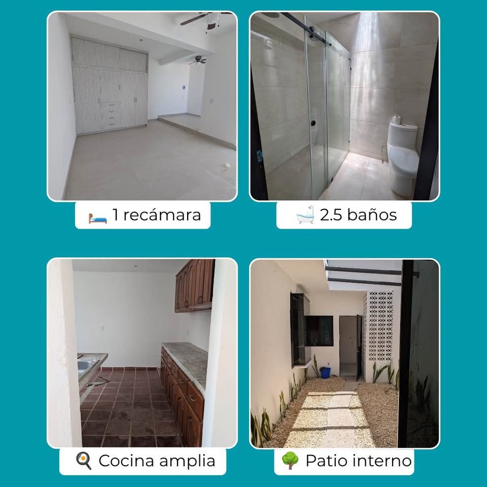 1 habitación 2 baños - Casa 2
