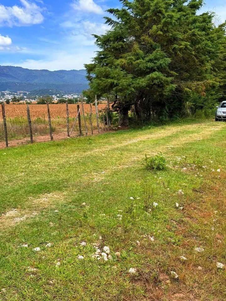 TERRENO EN VENTA EN TEOPISCA  CHIAPAS , BARRIO LLANO GRANDE , AUN COSTADO  DEL BARRIO EL RASTRO . 3