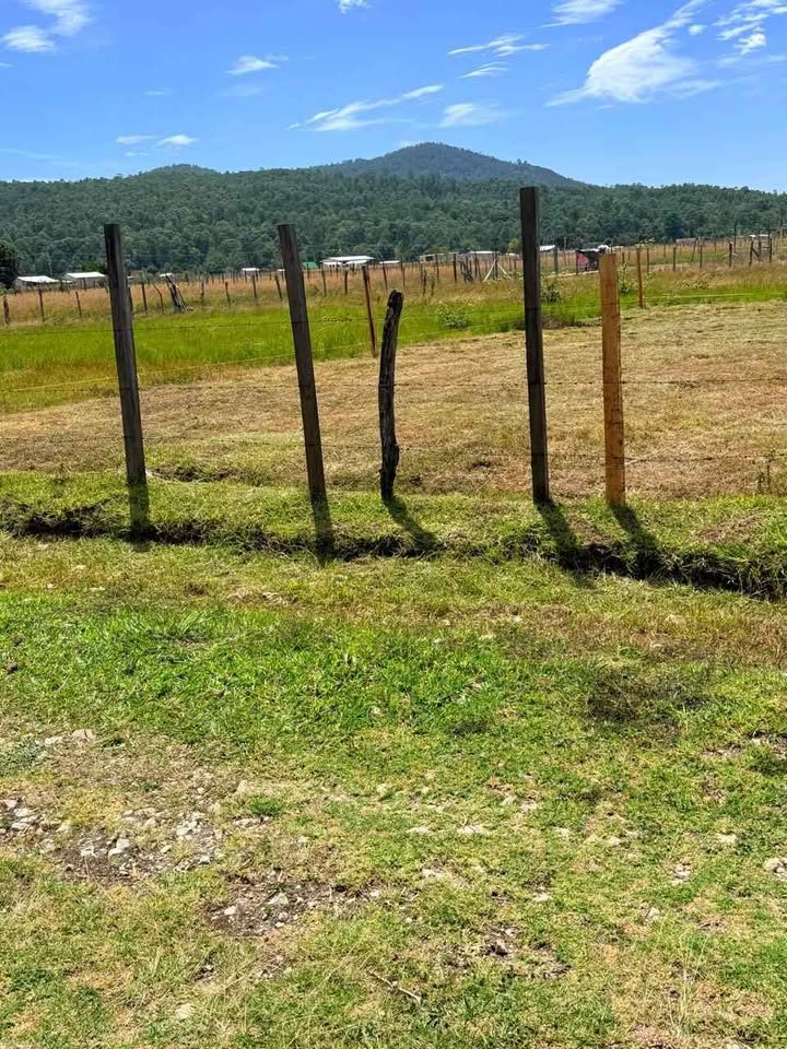 TERRENO EN VENTA EN TEOPISCA  CHIAPAS , BARRIO LLANO GRANDE , AUN COSTADO  DEL BARRIO EL RASTRO . 2