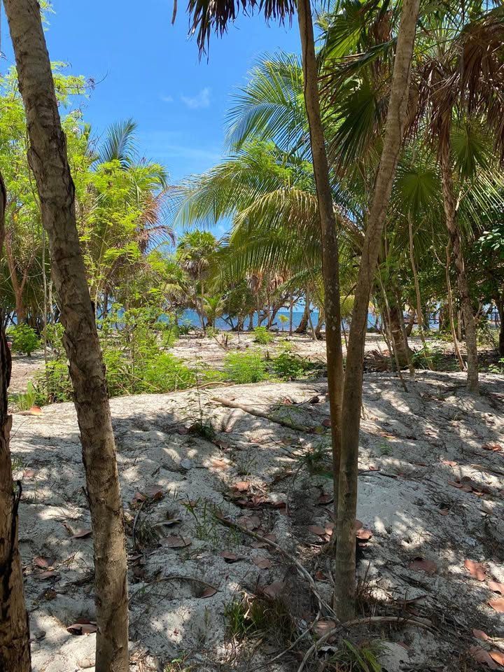 Vendo terreno en 
Mahaual a 10 min del faro 2
