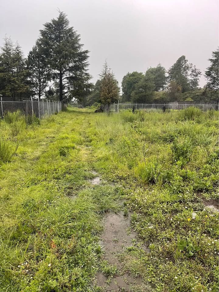 Terreno en venta · 160 m² · La Basilia 2