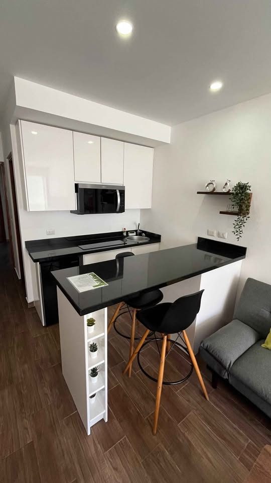 1 Bed 1 Bath - Apartment 2