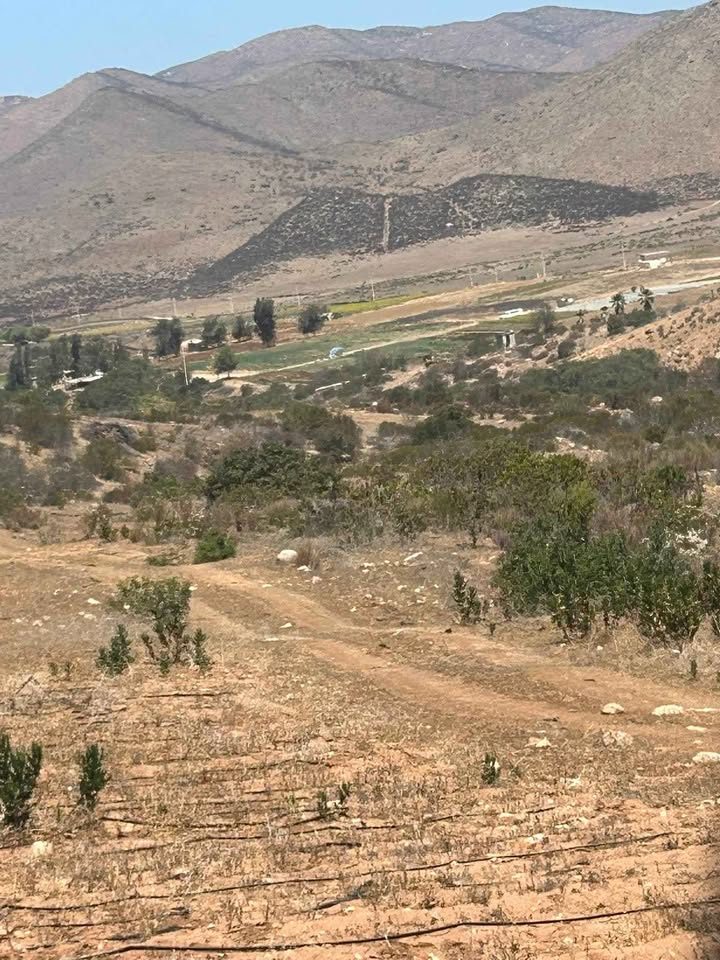 63 HECTÁREAS EN VENTA ENSENADA 3