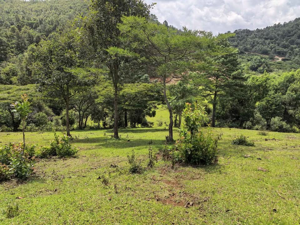 Estudio 0 baños - Casa 2