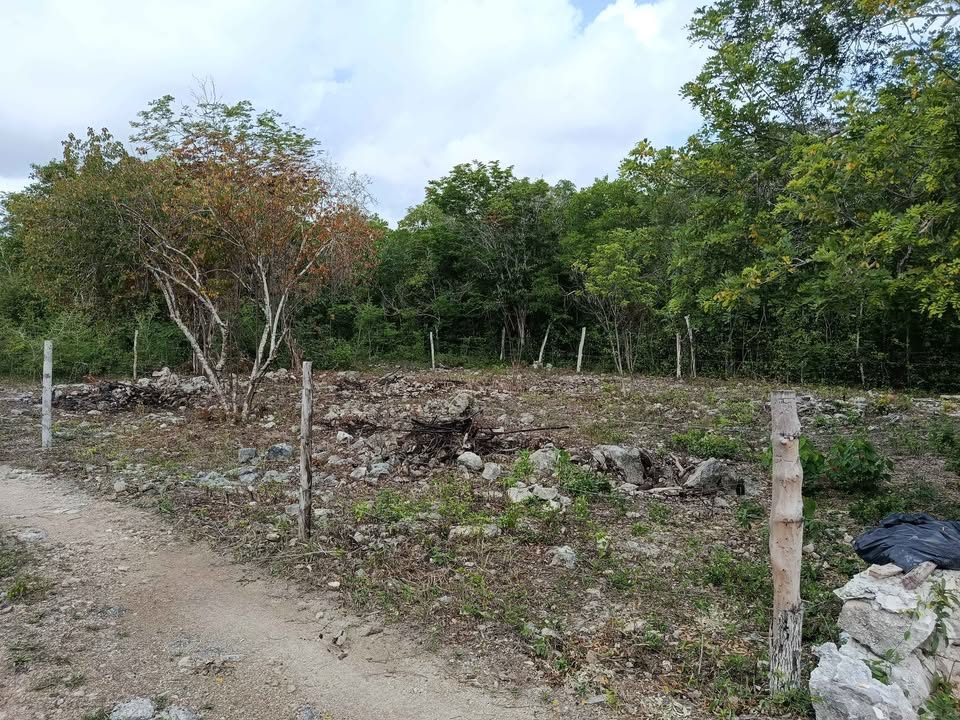 Monoambiente 0 baños - Casa 2