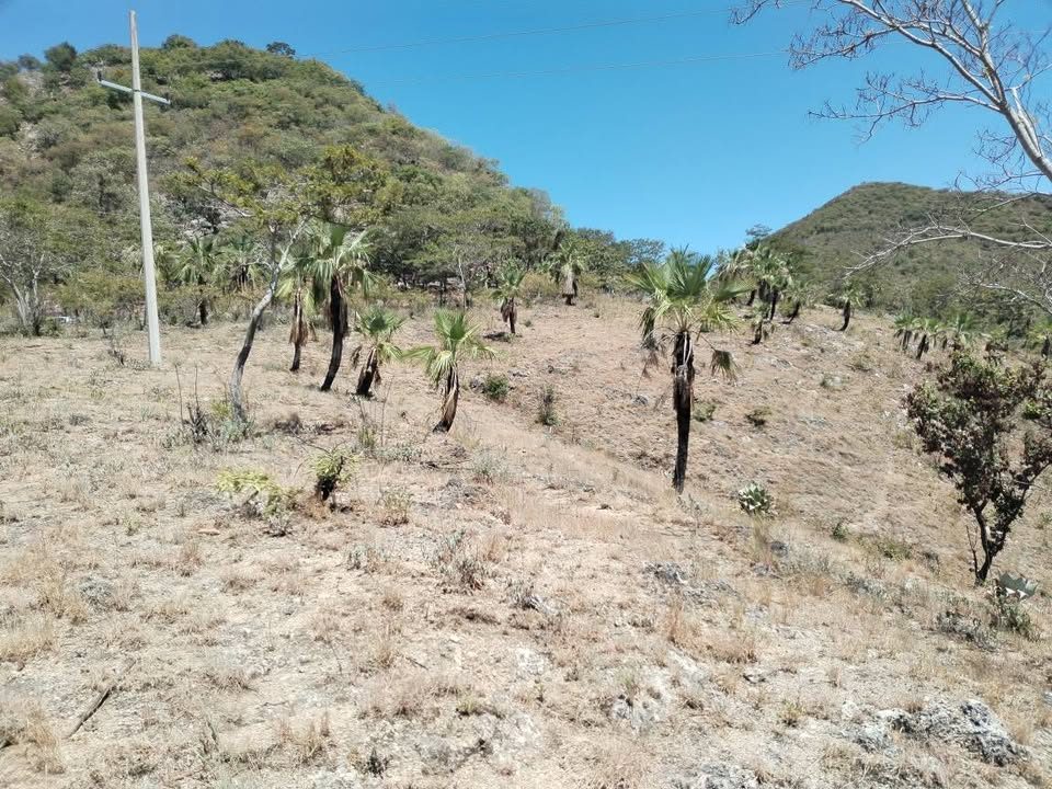 Se vende 1 Hectárea de terreno a 5 minutos de la rejoya en TZIMOL 🏡 3