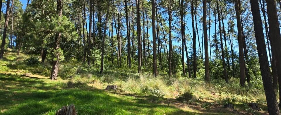 Terrenos+de+200m²+a+8+minutos+del+centro+de+vigas⚠️cupo+limitado⚠️+ 2
