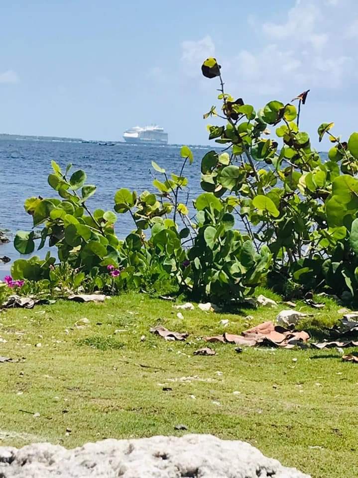 SE VENDE  TERRENO EN MAHAHUAL QROO 2