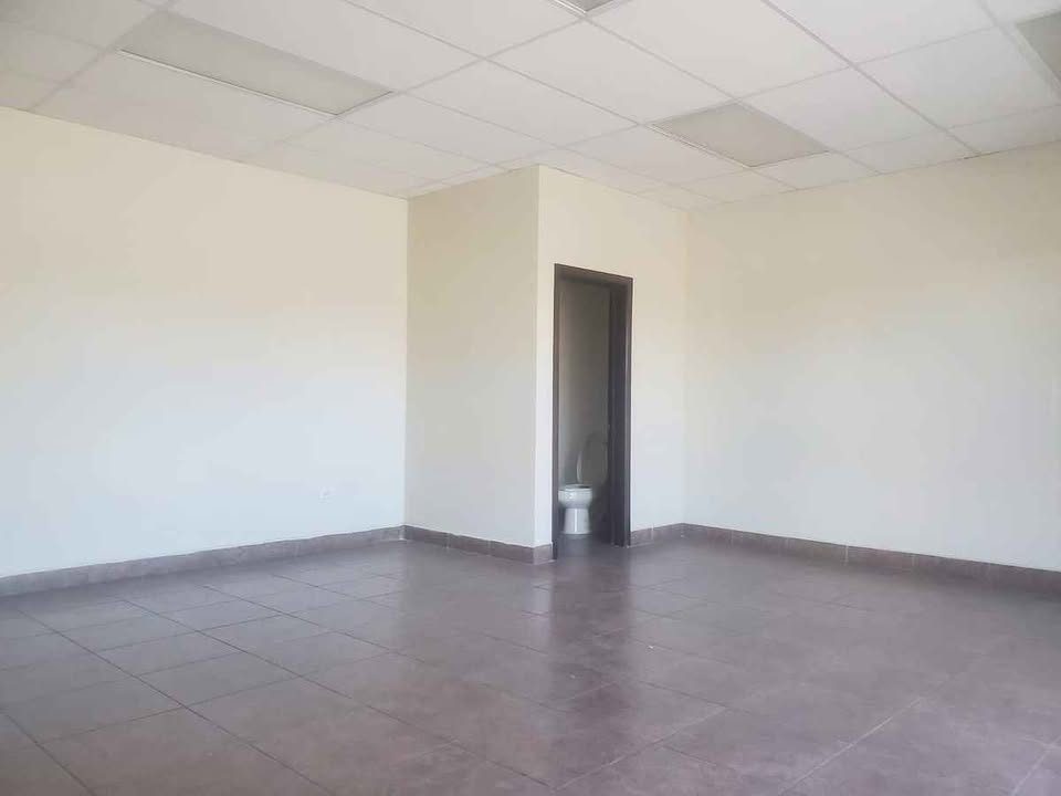 1 habitación 1 baño - Departamento 3
