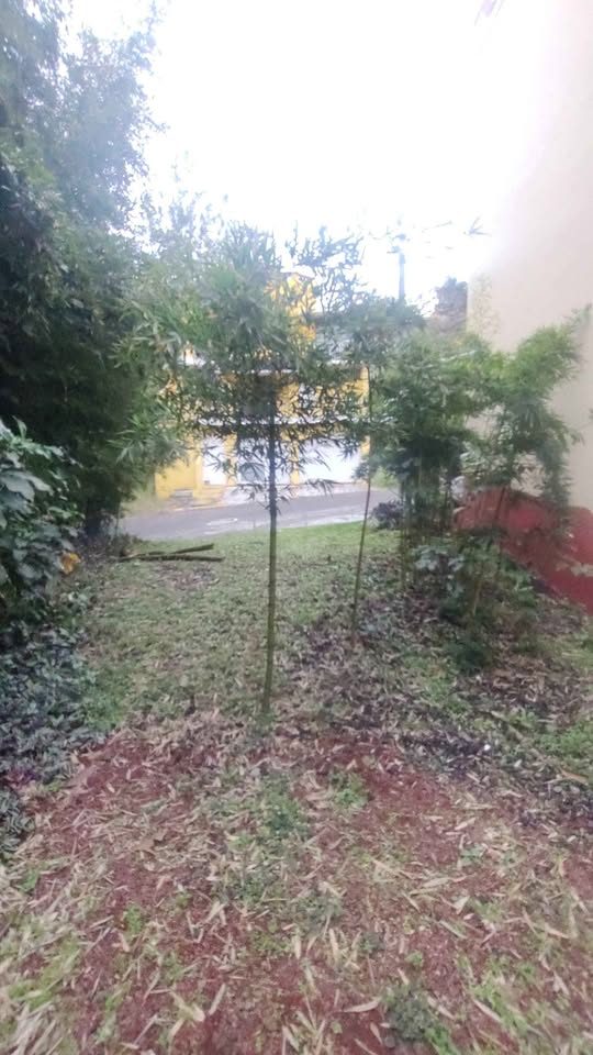 1 habitación 0 baños - Casa 2