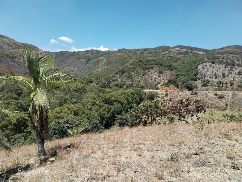 Se vende 1 Hectárea de terreno a 5 min del ojo de agua en tzimol 🏡 3