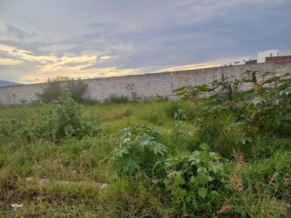 ‼️SUPER OPORTUNIDAD‼️
‼️VENDO TERRENO EN FRACC SAN VICENTE, A LADO DE COTOS LAS MORAS‼️ 2