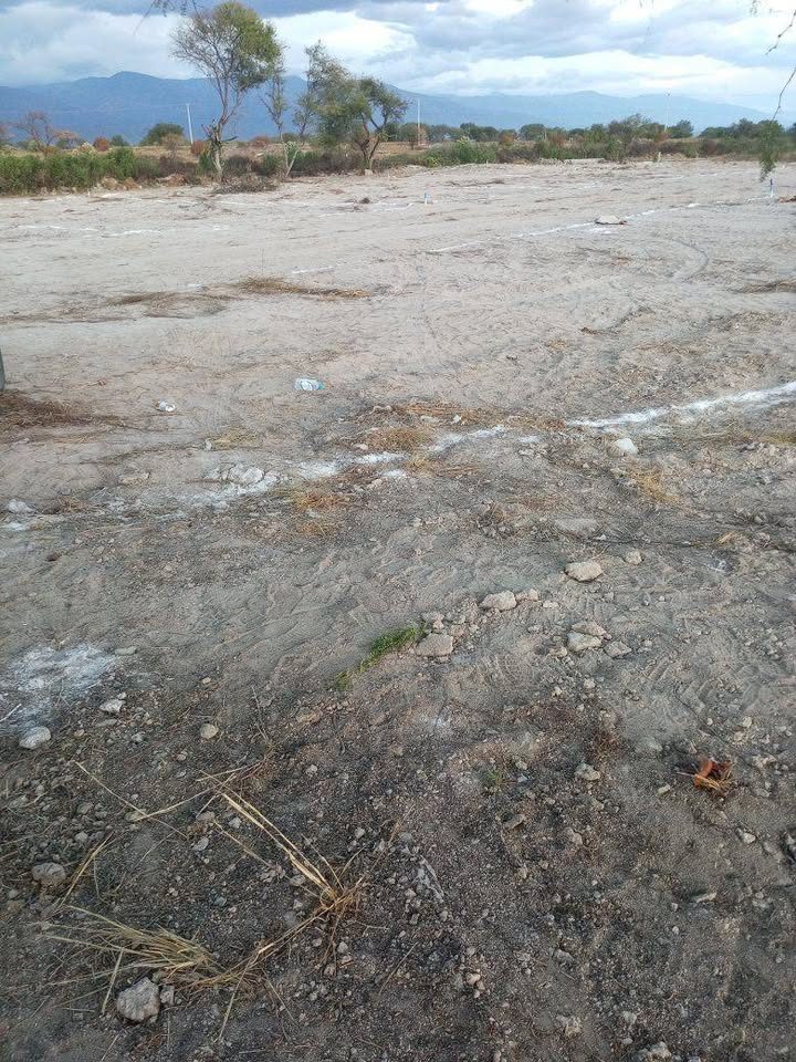 TERRENOS+ 2