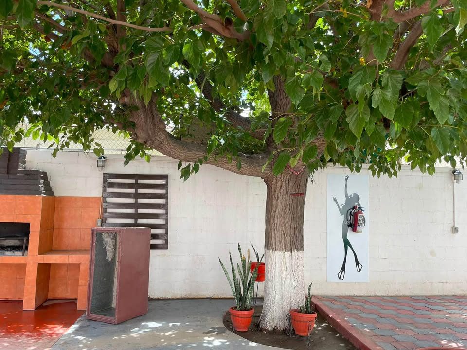 7 habitaciones 4 baños - Casa 2