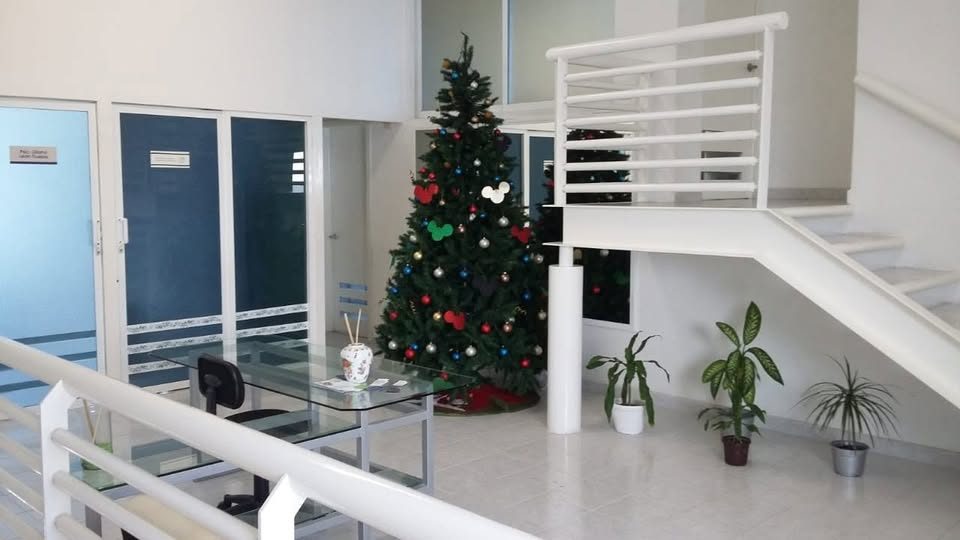 1 habitación 2 baños Departamento 2