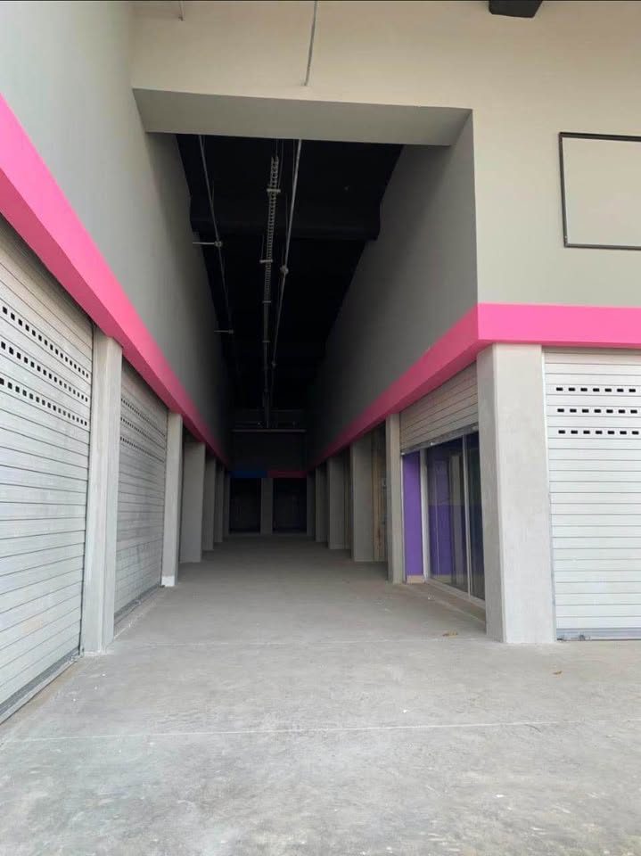 Local comercial en renta · 24 m² · León 2