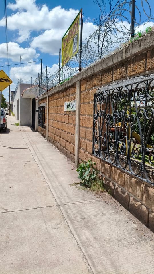 Jardín para fiestas 2