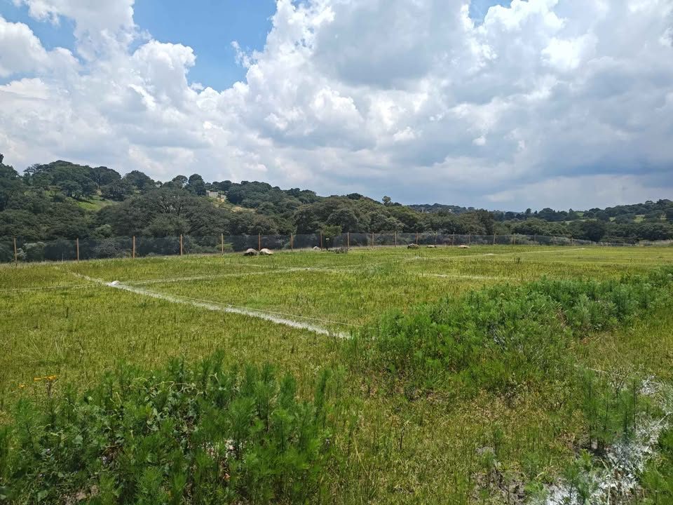 Monoambiente 0 baños - Casa 3